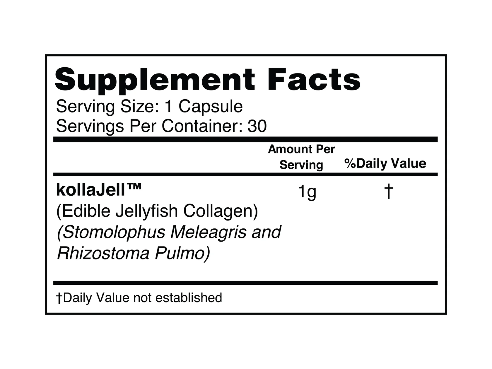 MITOLIFE JELLYFISH JOLT (WILD-CAUGHT COLLAGEN) - Image 4