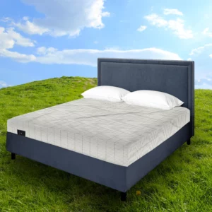 MITOLIFE GROUNDING SHEET