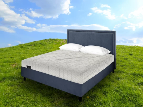 MITOLIFE GROUNDING SHEET